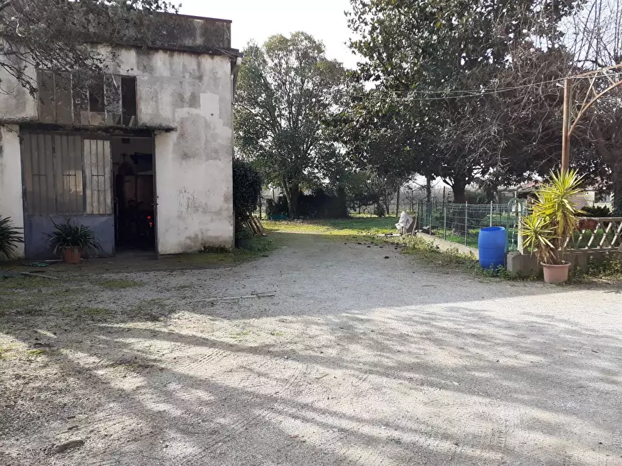 Immagine 30 di Porzione di casa in vendita  a Cascina