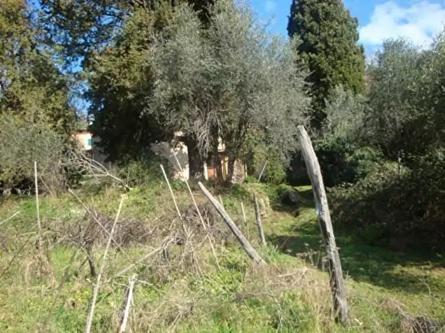 Immagine 14 di Rustico / casale in vendita  a Lucca