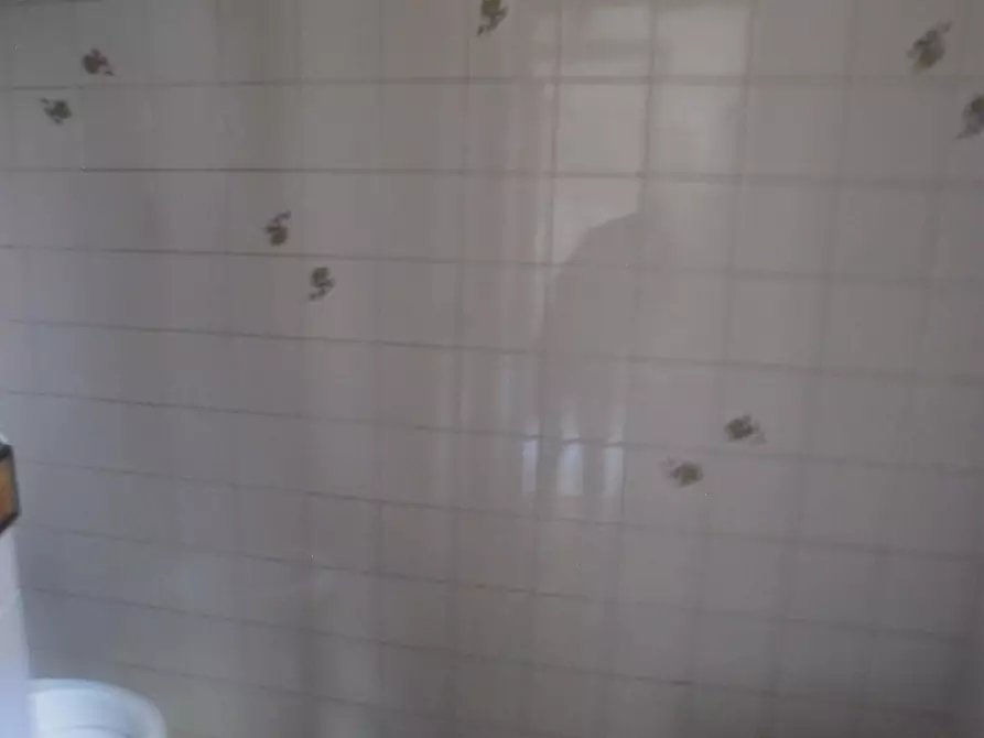 Immagine 10 di Locale commerciale in affitto  a Pontedera