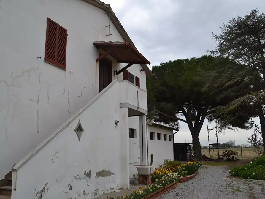 Immagine 10 di Casa indipendente in vendita  a Campiglia Marittima