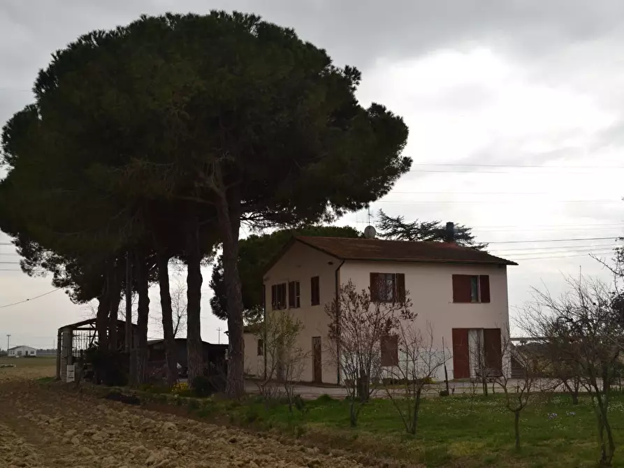 Immagine 2 di Casa indipendente in vendita  a Campiglia Marittima