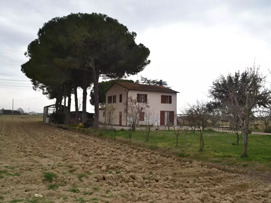 Immagine 7 di Casa indipendente in vendita  a Campiglia Marittima