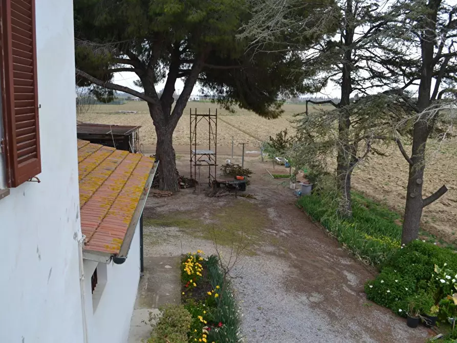 Immagine 11 di Casa indipendente in vendita  a Campiglia Marittima