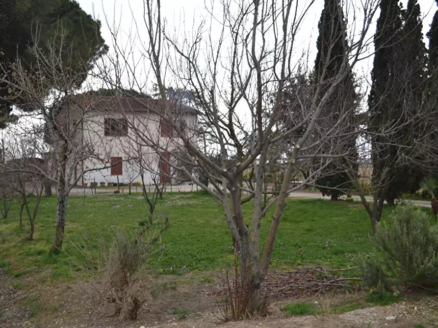 Immagine 8 di Casa indipendente in vendita  a Campiglia Marittima