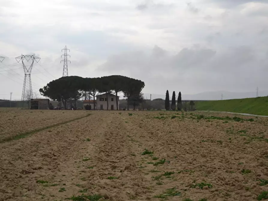 Immagine 4 di Casa indipendente in vendita  a Campiglia Marittima