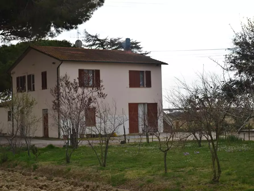 Immagine 5 di Casa indipendente in vendita  a Campiglia Marittima