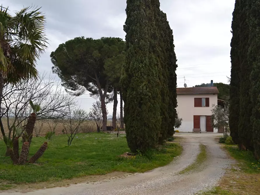 Immagine 1 di Casa indipendente in vendita  a Campiglia Marittima