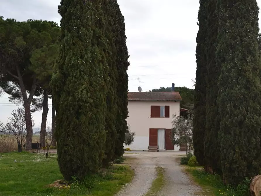 Immagine 6 di Casa indipendente in vendita  a Campiglia Marittima