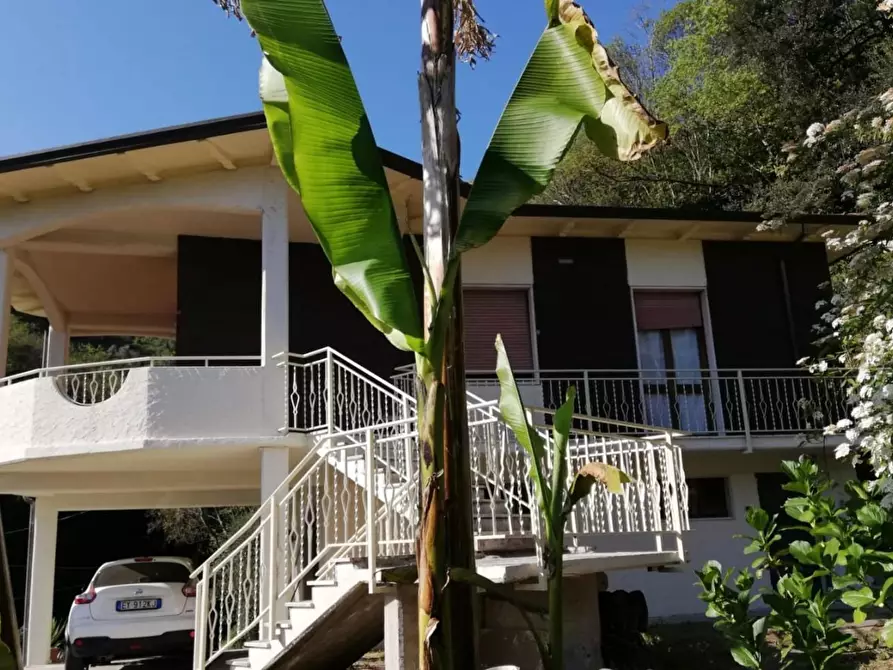 Immagine 4 di Casa indipendente in vendita  a Carrara