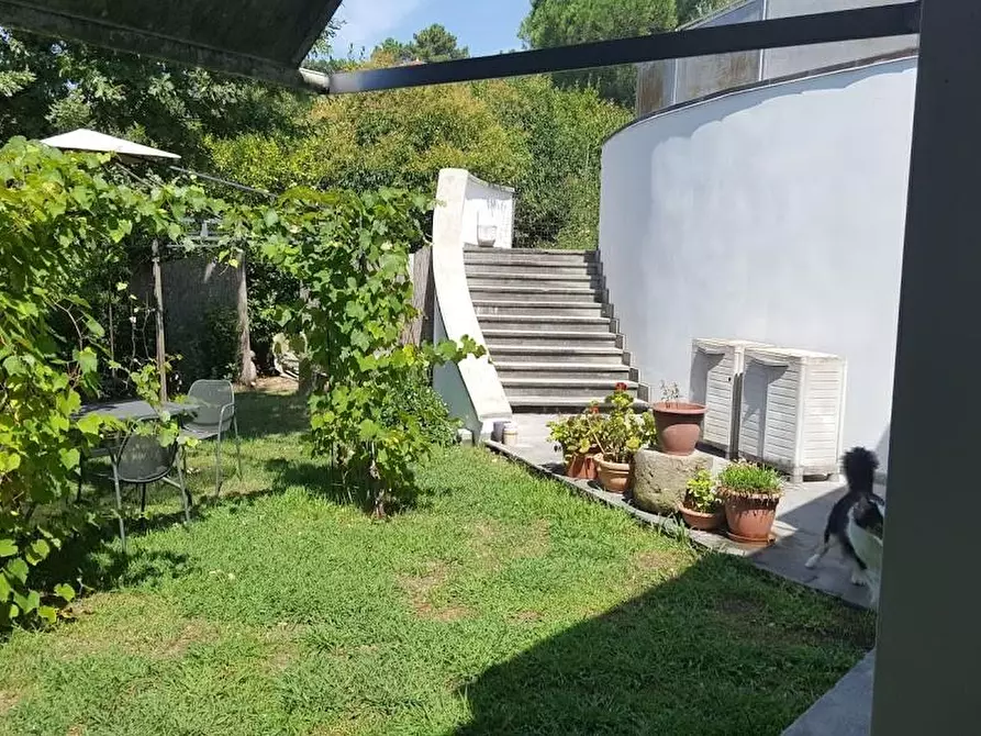 Immagine 2 di Villa in vendita  a Carrara