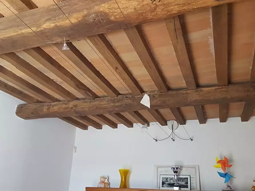 Immagine 8 di Villa in vendita  a Carrara