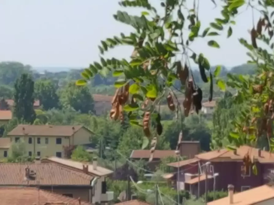 Immagine 12 di Villa in vendita  a Carrara