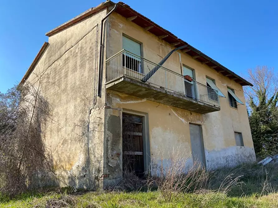 Immagine 8 di Terreno agricolo in vendita  a Bucine