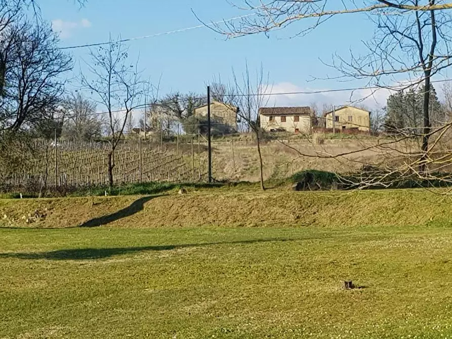 Immagine 2 di Terreno agricolo in vendita  a Bucine