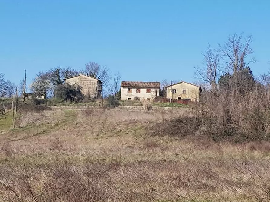 Immagine 4 di Terreno agricolo in vendita  a Bucine