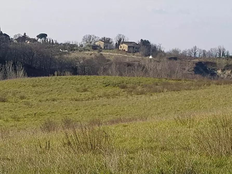 Immagine 1 di Terreno agricolo in vendita  a Bucine