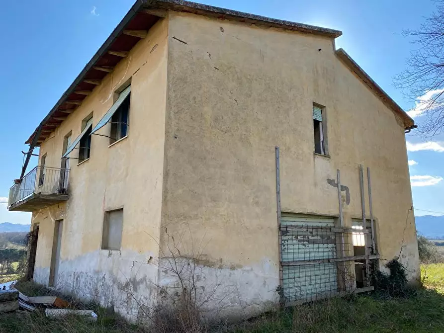 Immagine 6 di Terreno agricolo in vendita  a Bucine