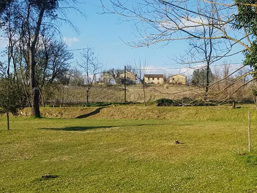 Immagine 3 di Terreno agricolo in vendita  a Bucine