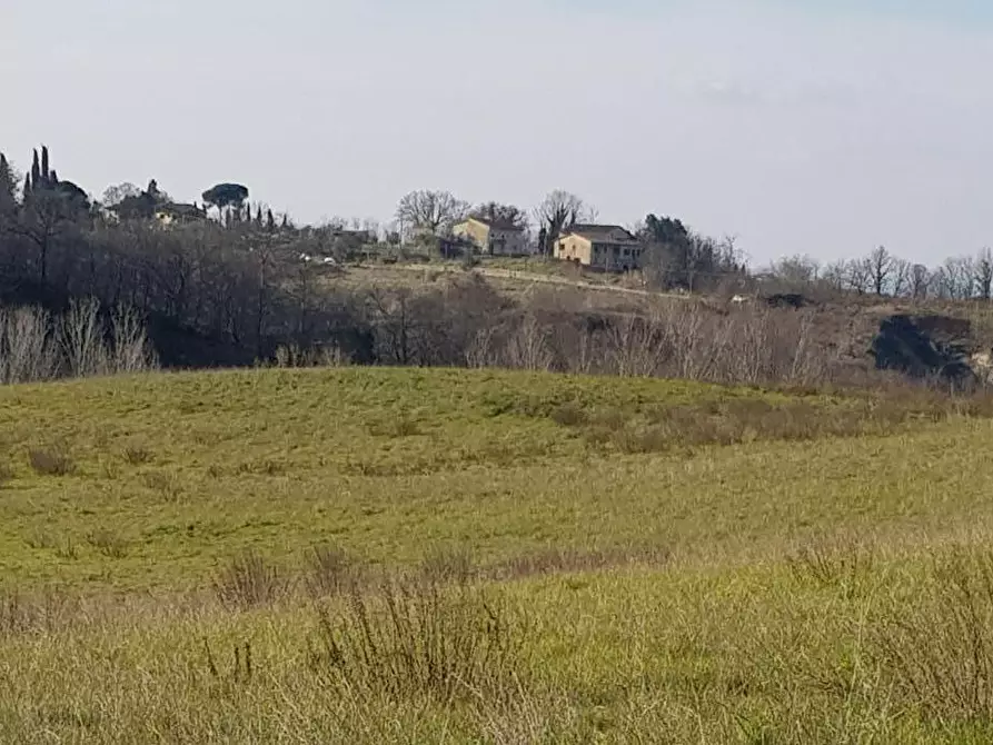 Immagine 10 di Terreno agricolo in vendita  a Bucine