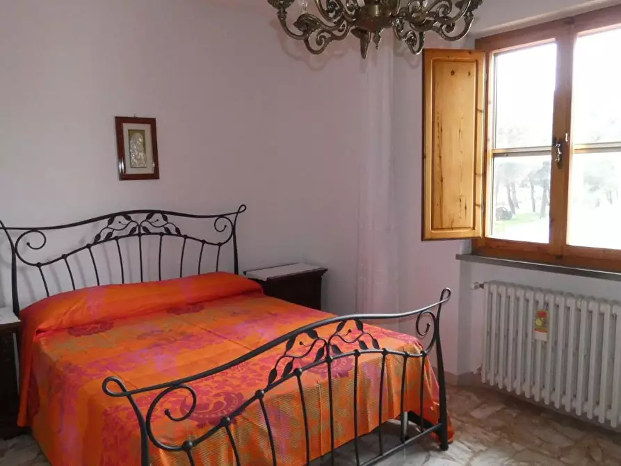 Immagine 15 di Casa bifamiliare in vendita  a Rosignano Marittimo