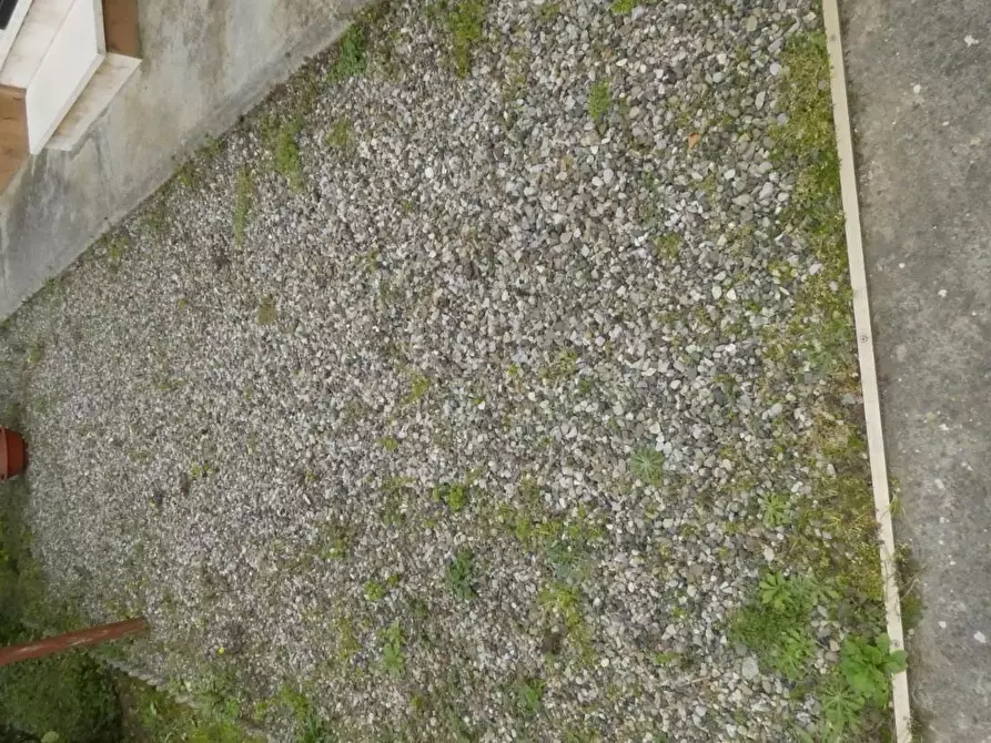 Immagine 53 di Casa bifamiliare in vendita  a Rosignano Marittimo