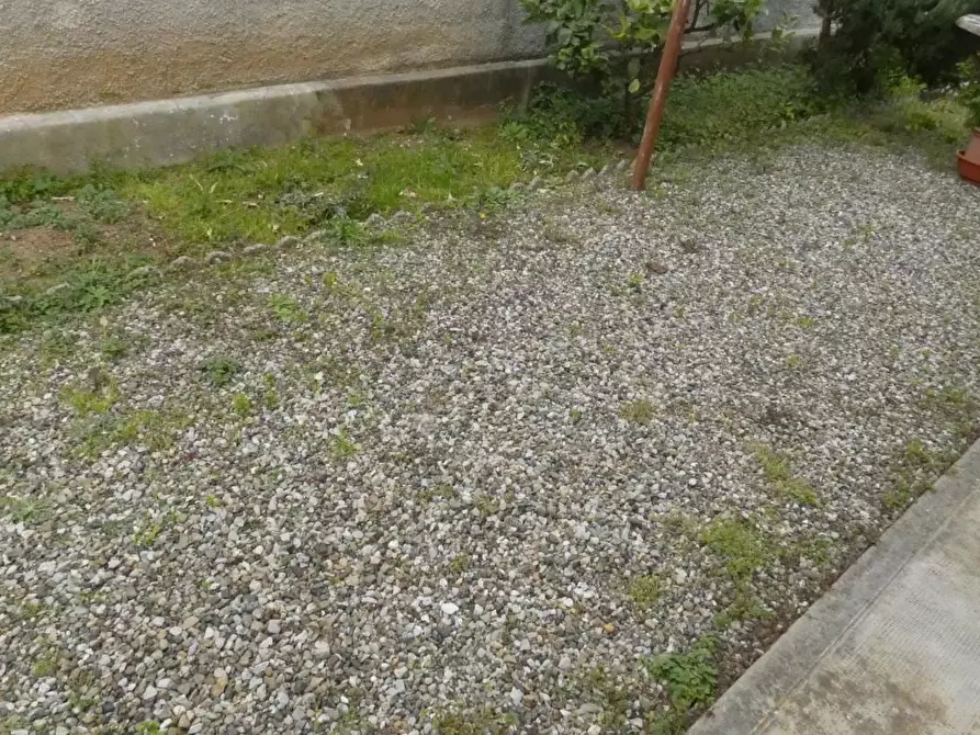 Immagine 54 di Casa bifamiliare in vendita  a Rosignano Marittimo