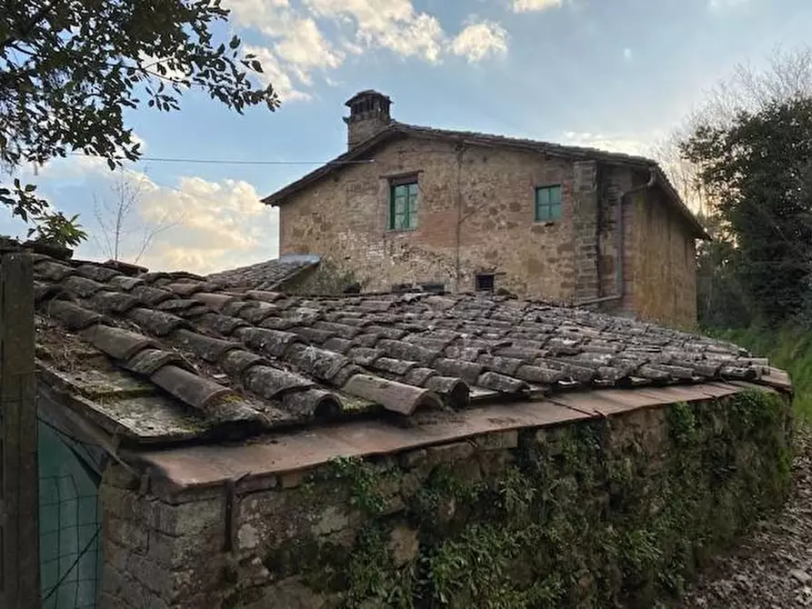 Immagine 4 di Casa colonica in vendita  a Siena