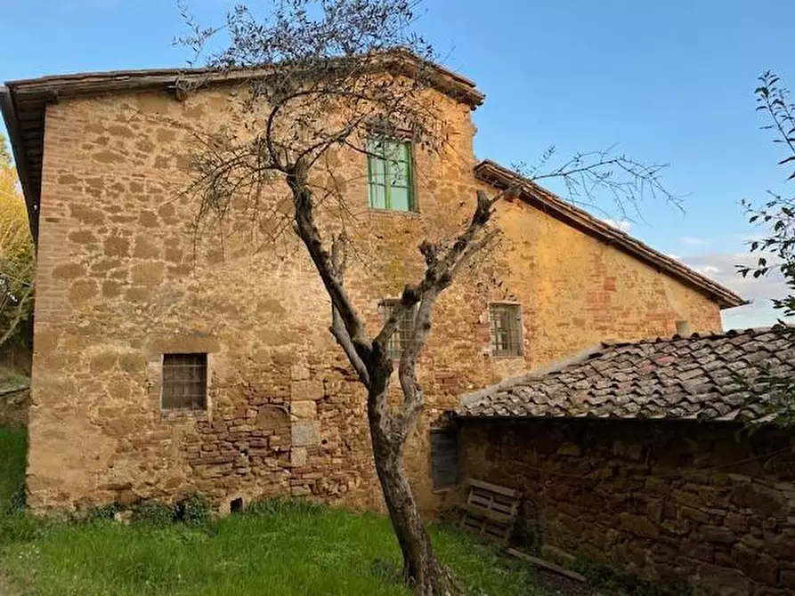 Immagine 3 di Casa colonica in vendita  a Siena