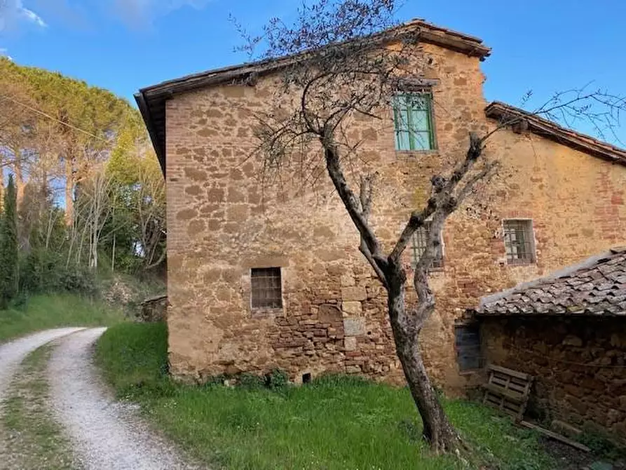 Immagine 6 di Casa colonica in vendita  a Siena