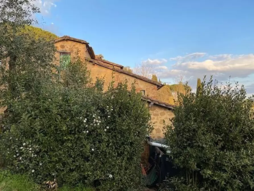 Immagine 2 di Casa colonica in vendita  a Siena