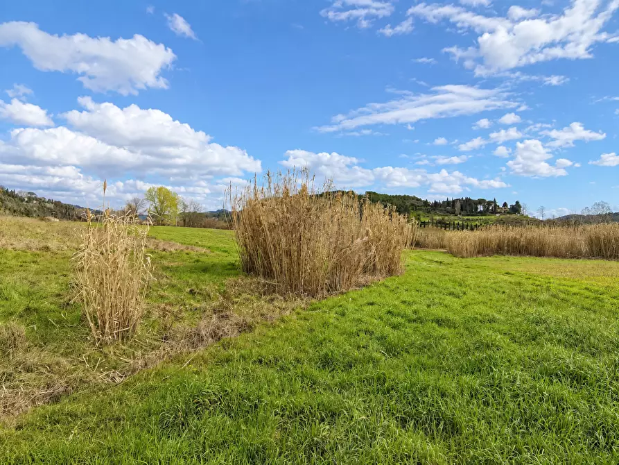 Immagine 2 di Terreno agricolo in vendita  a Palaia