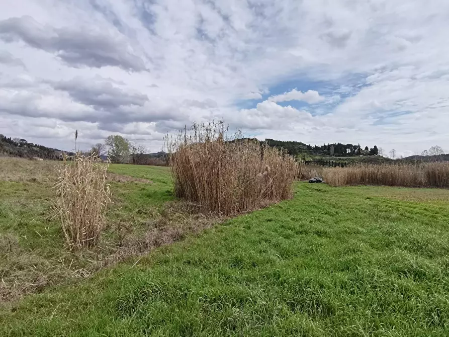 Immagine 2 di Terreno agricolo in vendita  a Palaia