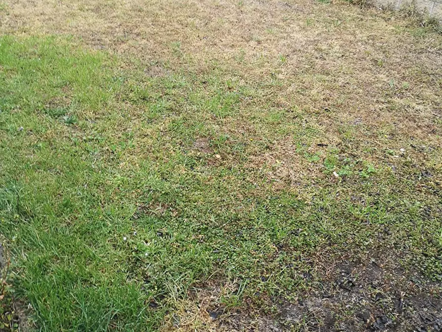 Immagine 12 di Terratetto in vendita  a Cascina