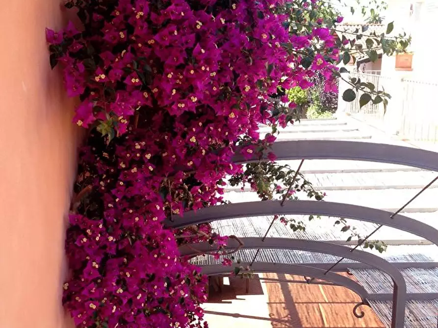 Immagine 3 di Villa in affitto  a Forte Dei Marmi