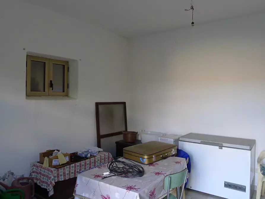 Immagine 37 di Casa colonica in vendita  a Scansano