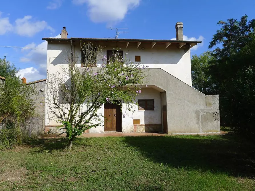 Immagine 1 di Casa colonica in vendita  a Scansano