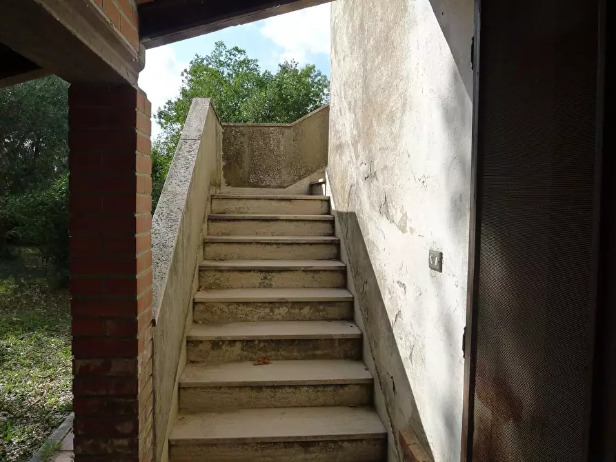 Immagine 10 di Casa colonica in vendita  a Scansano