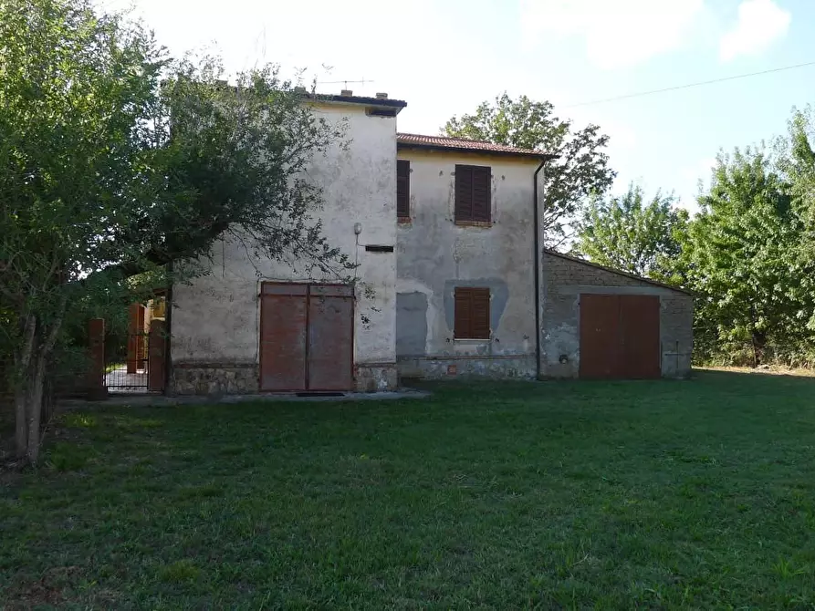 Immagine 50 di Casa colonica in vendita  a Scansano