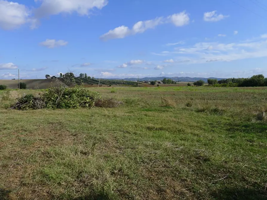 Immagine 8 di Casa colonica in vendita  a Scansano