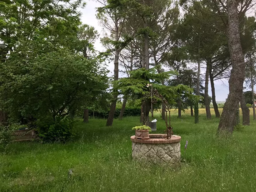 Immagine 3 di Villa in vendita  a Asciano