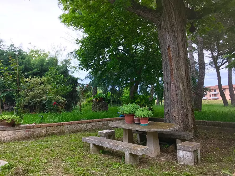 Immagine 2 di Villa in vendita  a Asciano