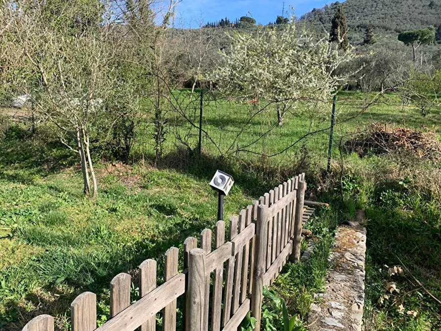 Immagine 9 di Villa in vendita  a San Giuliano Terme
