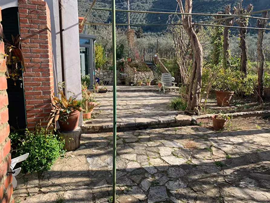 Immagine 4 di Villa in vendita  a San Giuliano Terme