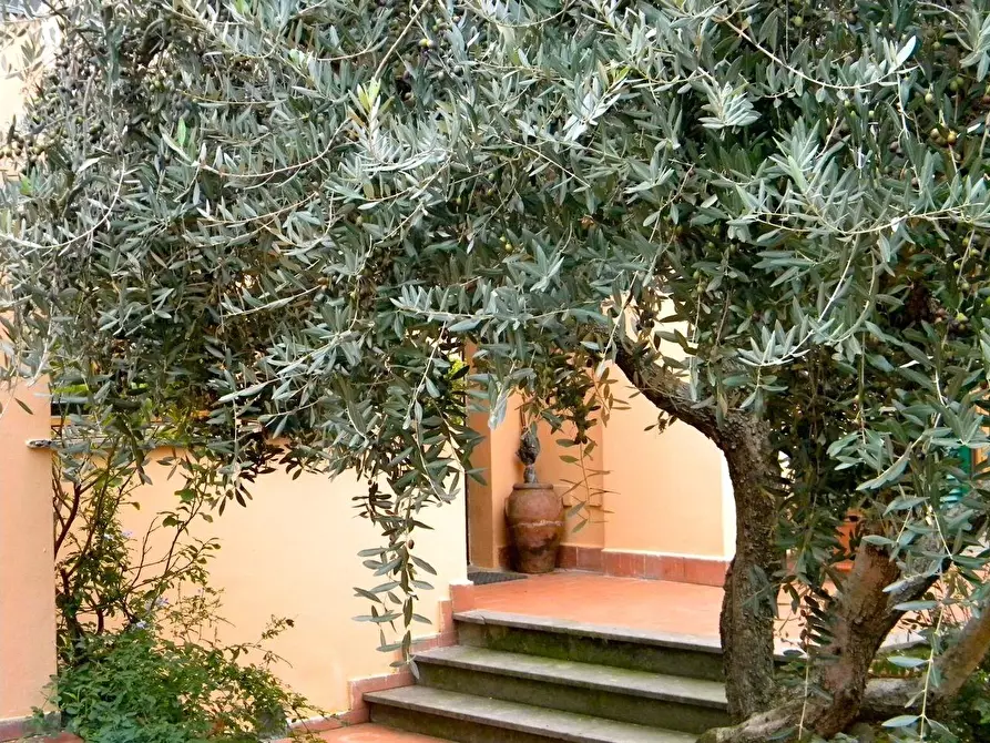 Immagine 8 di Villa in vendita  a San Giuliano Terme