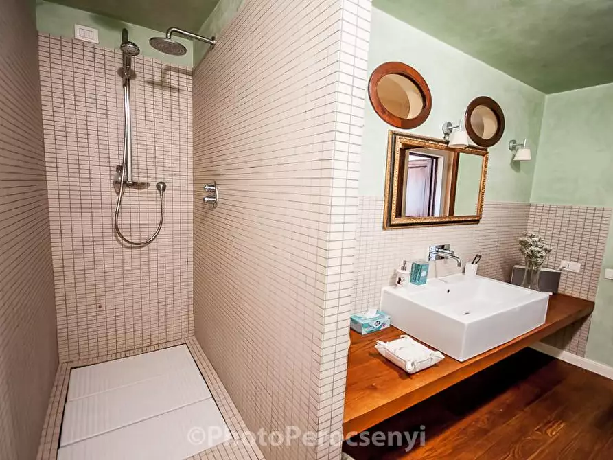 Immagine 29 di Casa colonica in vendita  a Montespertoli