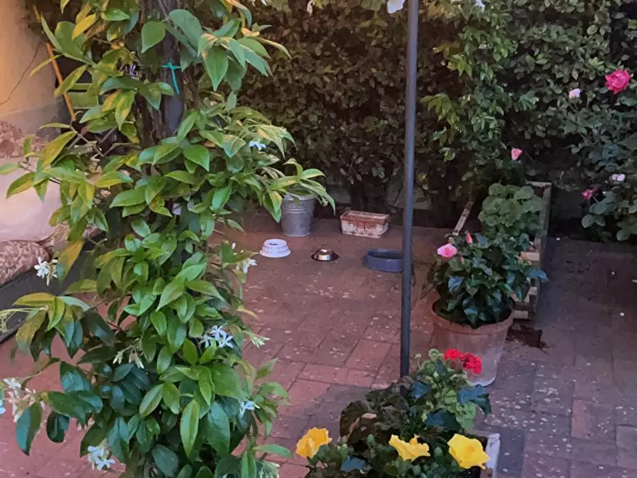 Immagine 34 di Casa colonica in vendita  a Montespertoli