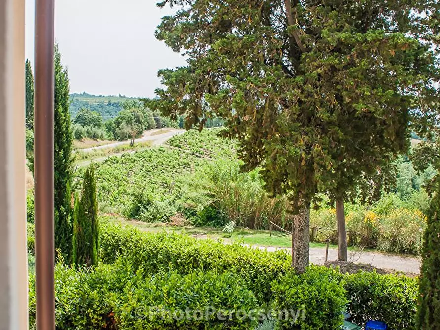 Immagine 33 di Casa colonica in vendita  a Montespertoli