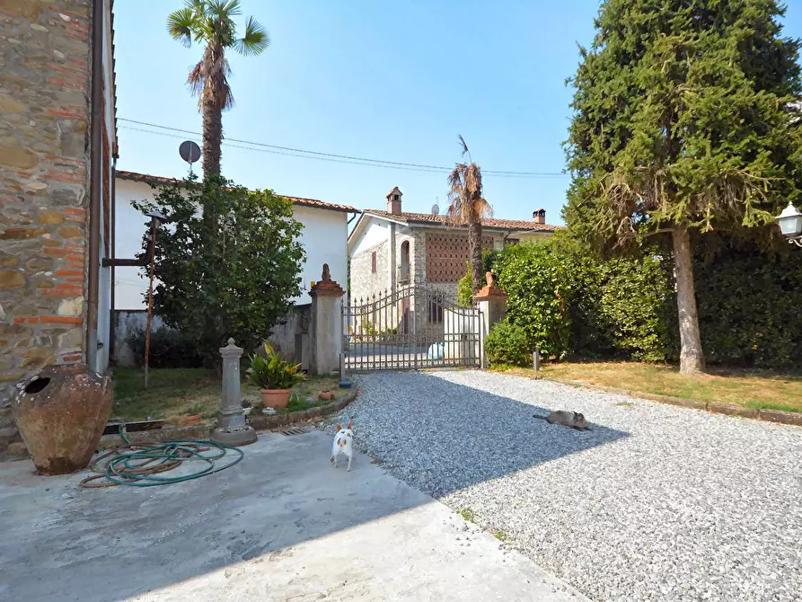 Immagine 29 di Villa in vendita  a Capannori