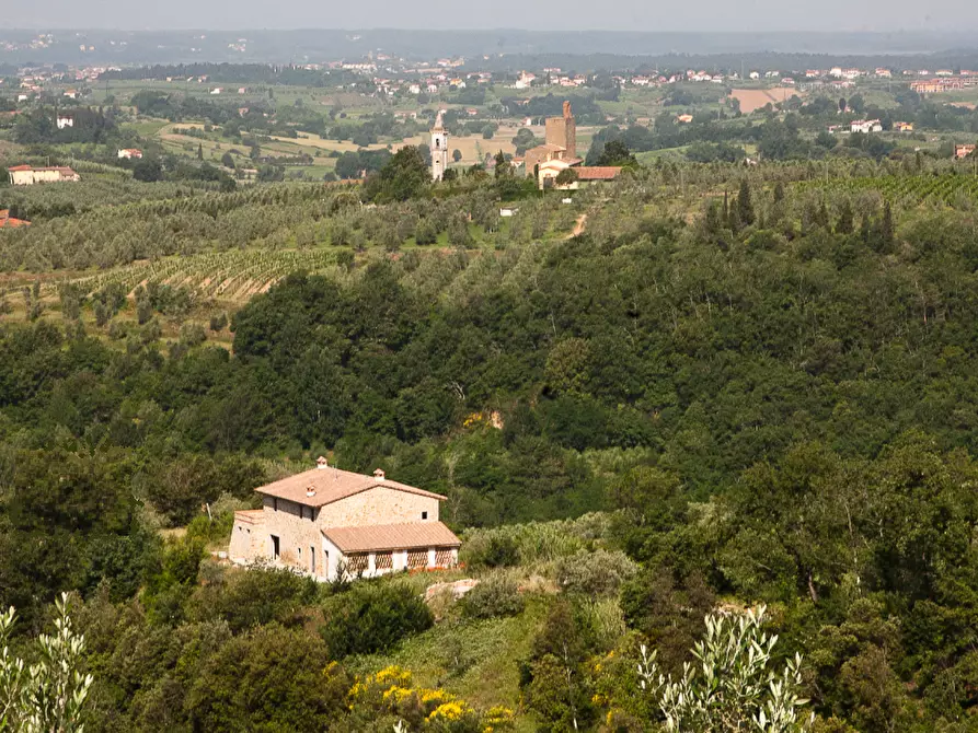 Immagine 3 di Immobile di prestigio in vendita  a Vinci