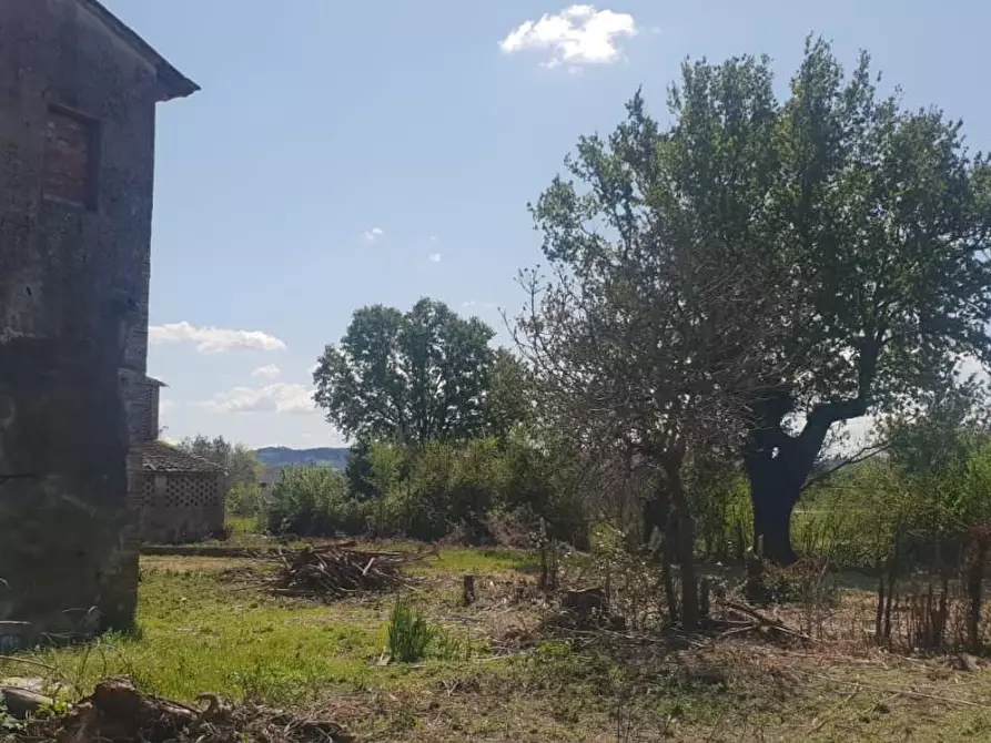 Immagine 3 di Terratetto in vendita  a Empoli